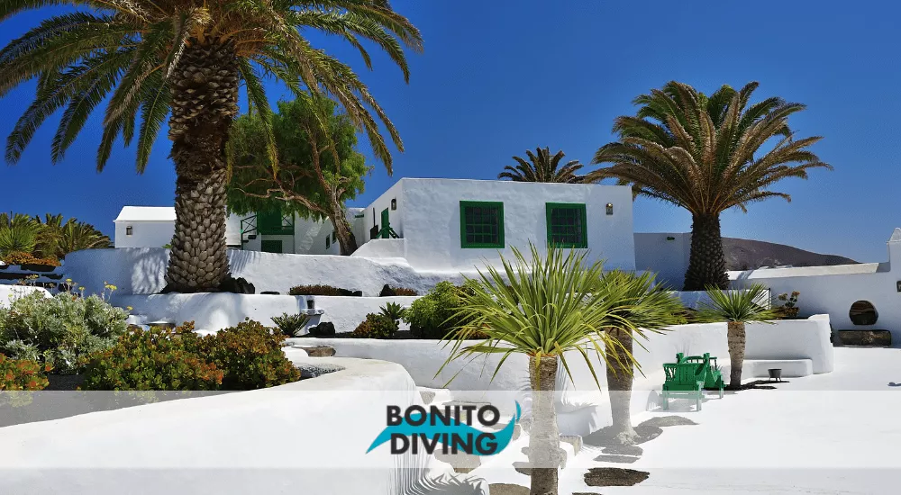 Logo bonito diving